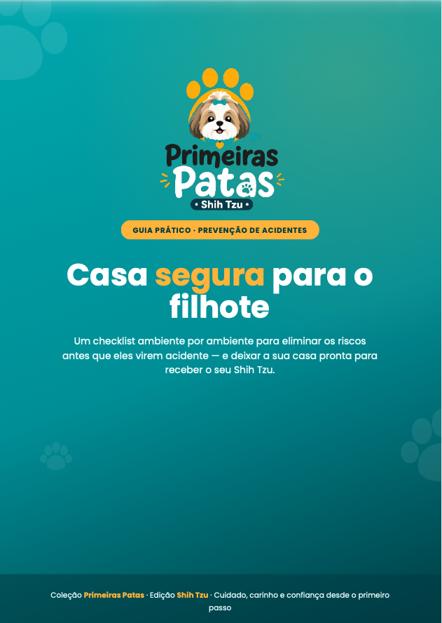 Guia: Casa segura para o filhote
