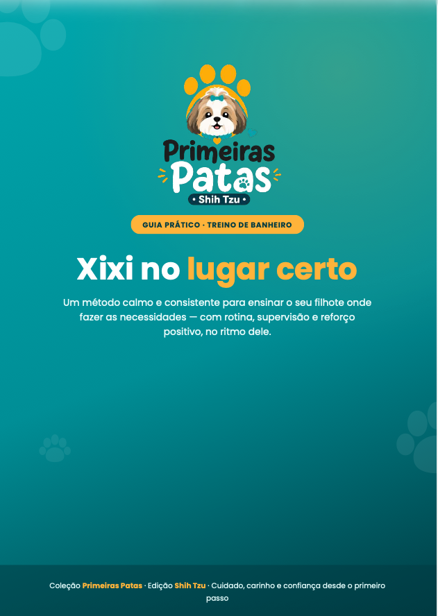 Guia: Xixi no lugar certo