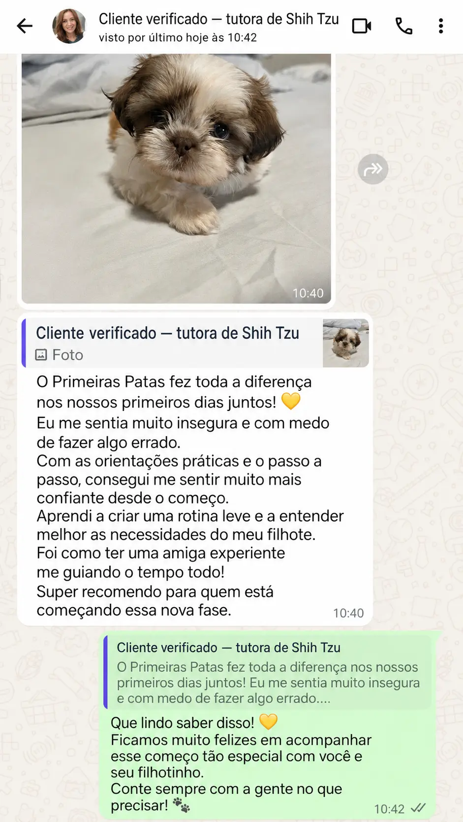 Depoimento 1 — tutor(a) de Shih Tzu