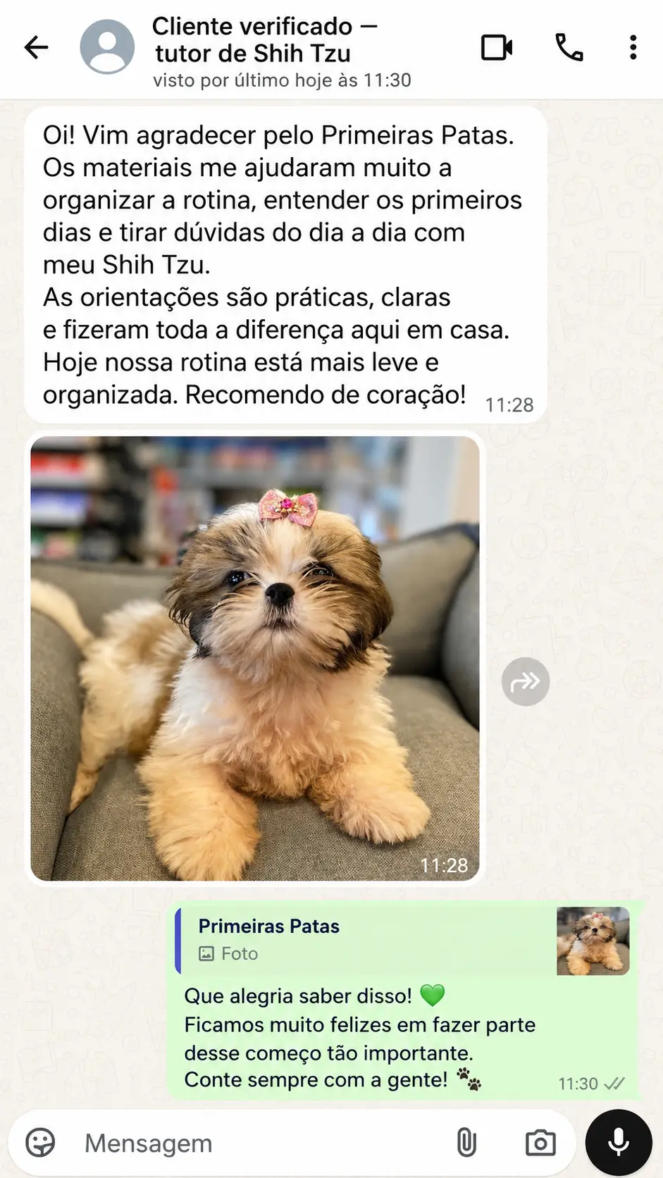 Depoimento 2 — tutor(a) de Shih Tzu