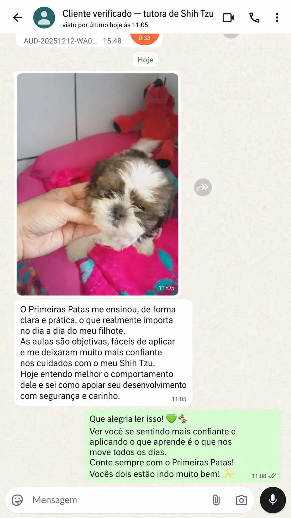 Depoimento 4 — tutor(a) de Shih Tzu