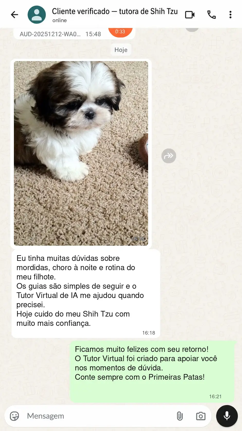 Depoimento 6 — tutor(a) de Shih Tzu